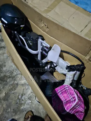 Electric Bike