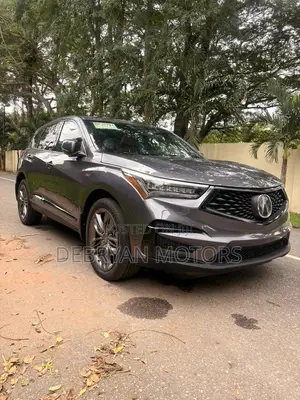 Acura RDX A-Spec Pkg AWD 2019 Gray
