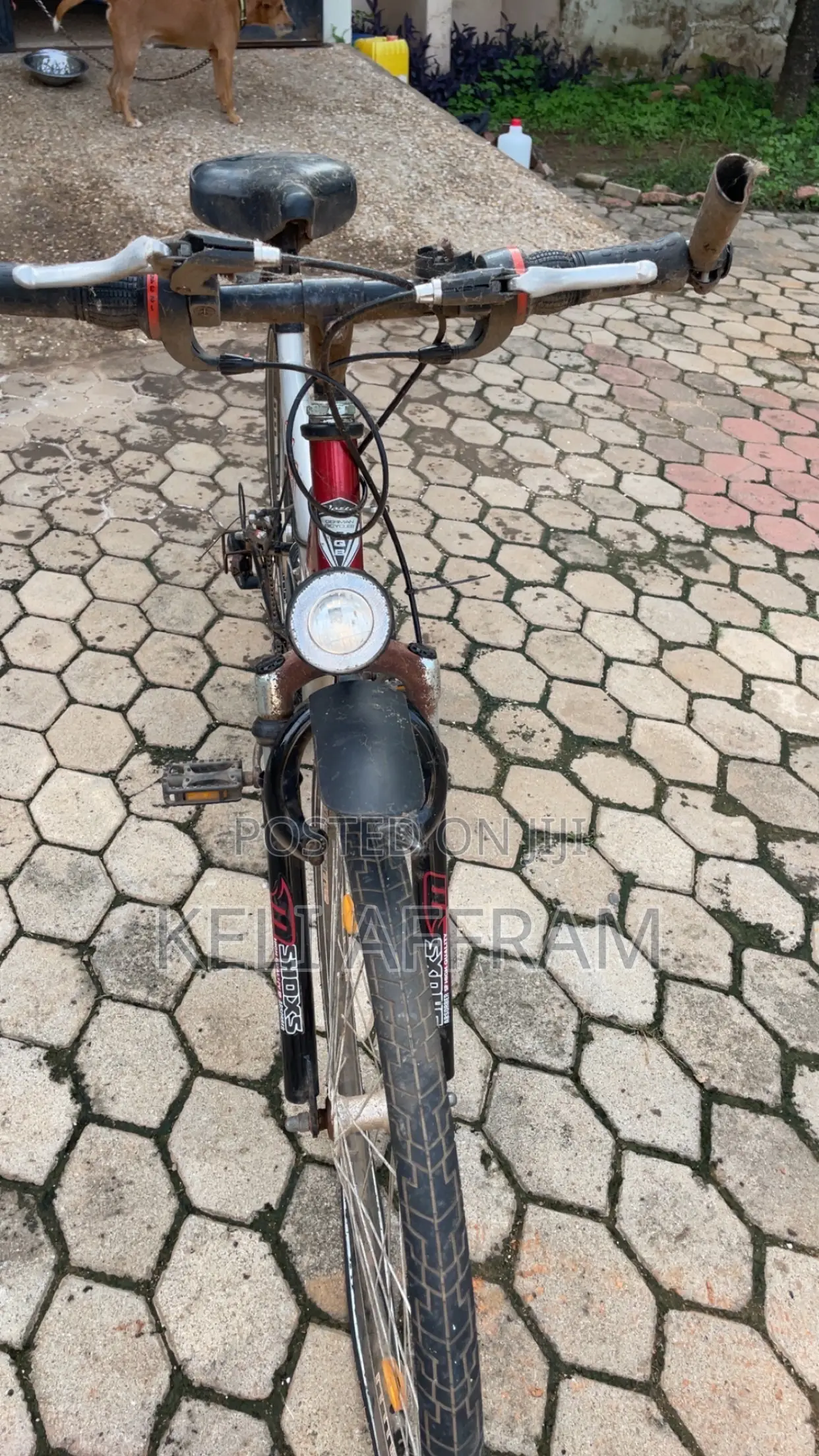 Mountain Bicycle Neatly Foreign Used