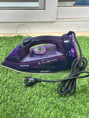 Original Detachable Akane Steam Iron
