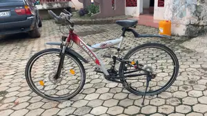 Mountain Bicycle Neatly Foreign Used