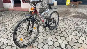 Mountain Bicycle Neatly Foreign Used