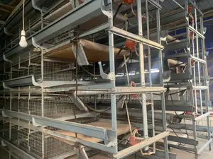 Poultry Cage