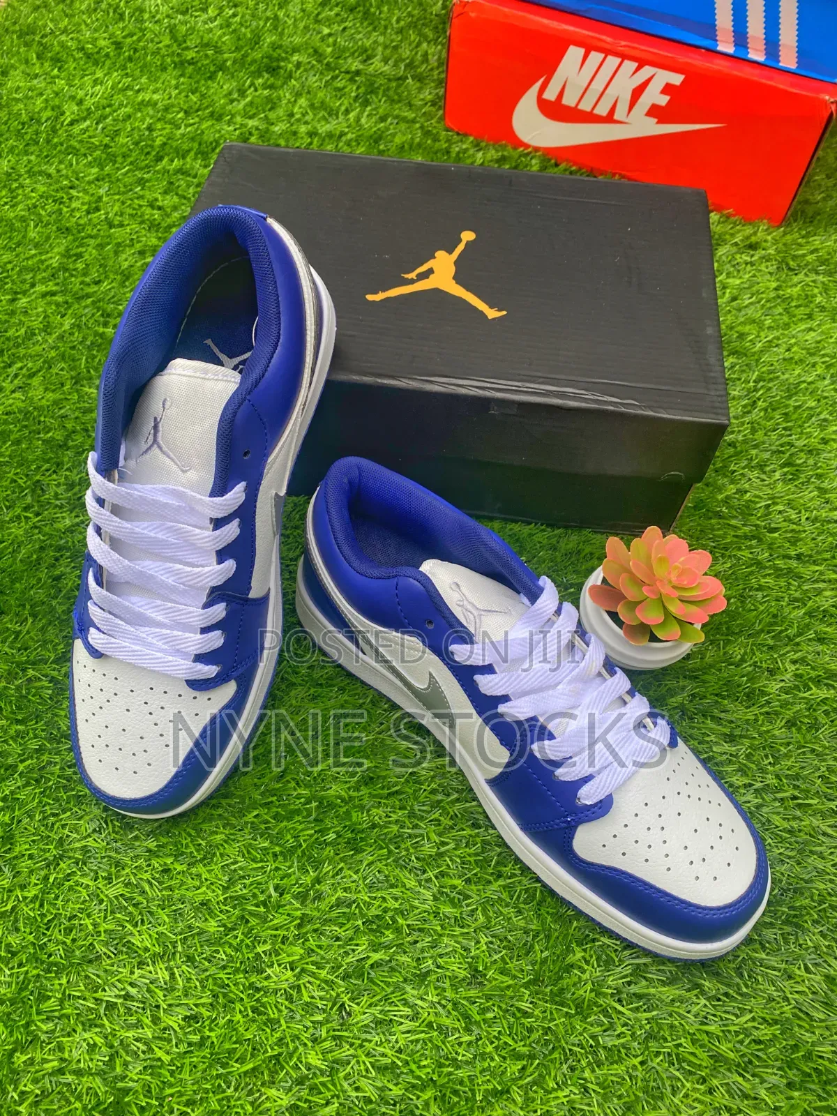 Nike Air Jordan 1 — Low