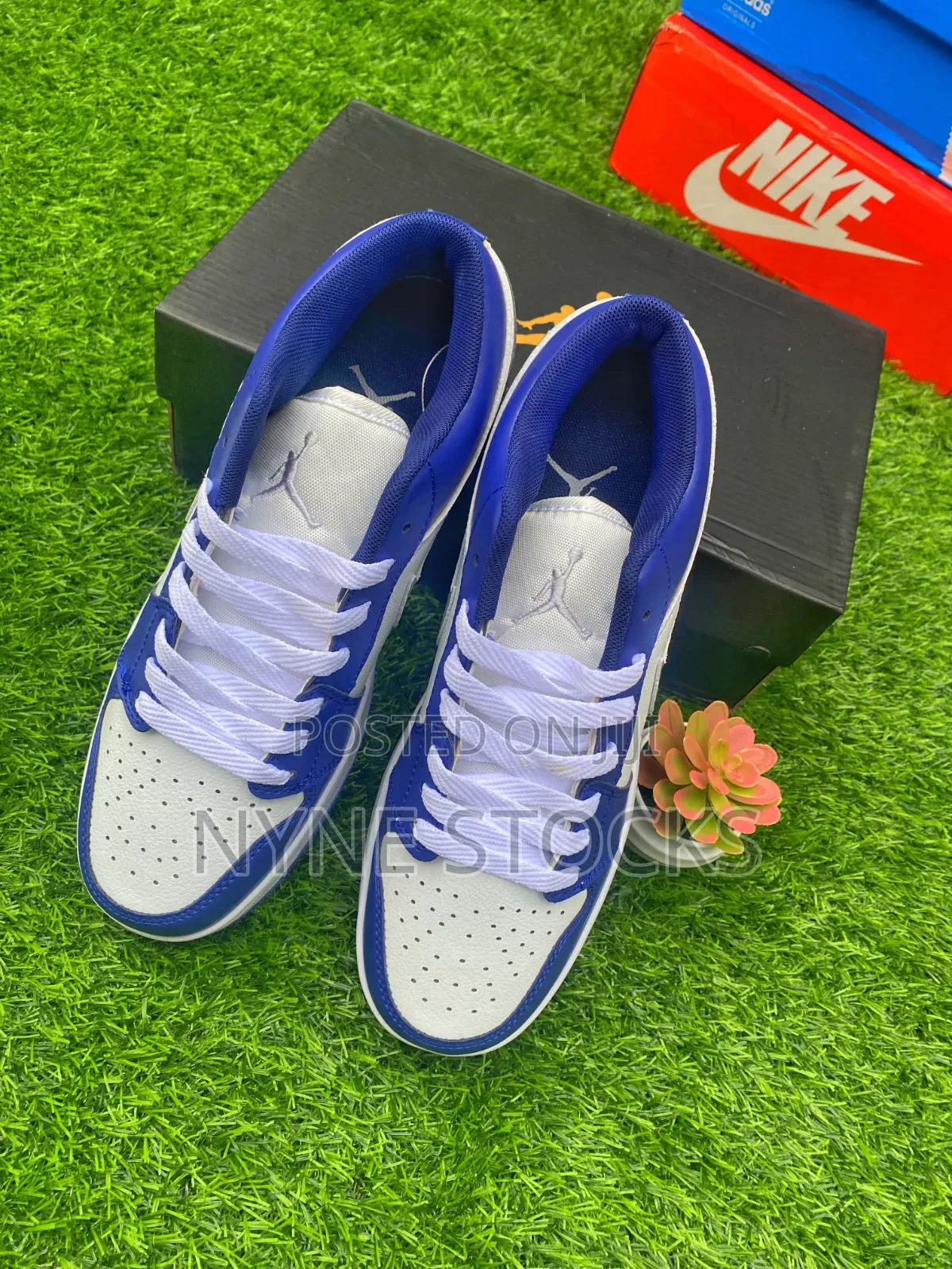Nike Air Jordan 1 — Low
