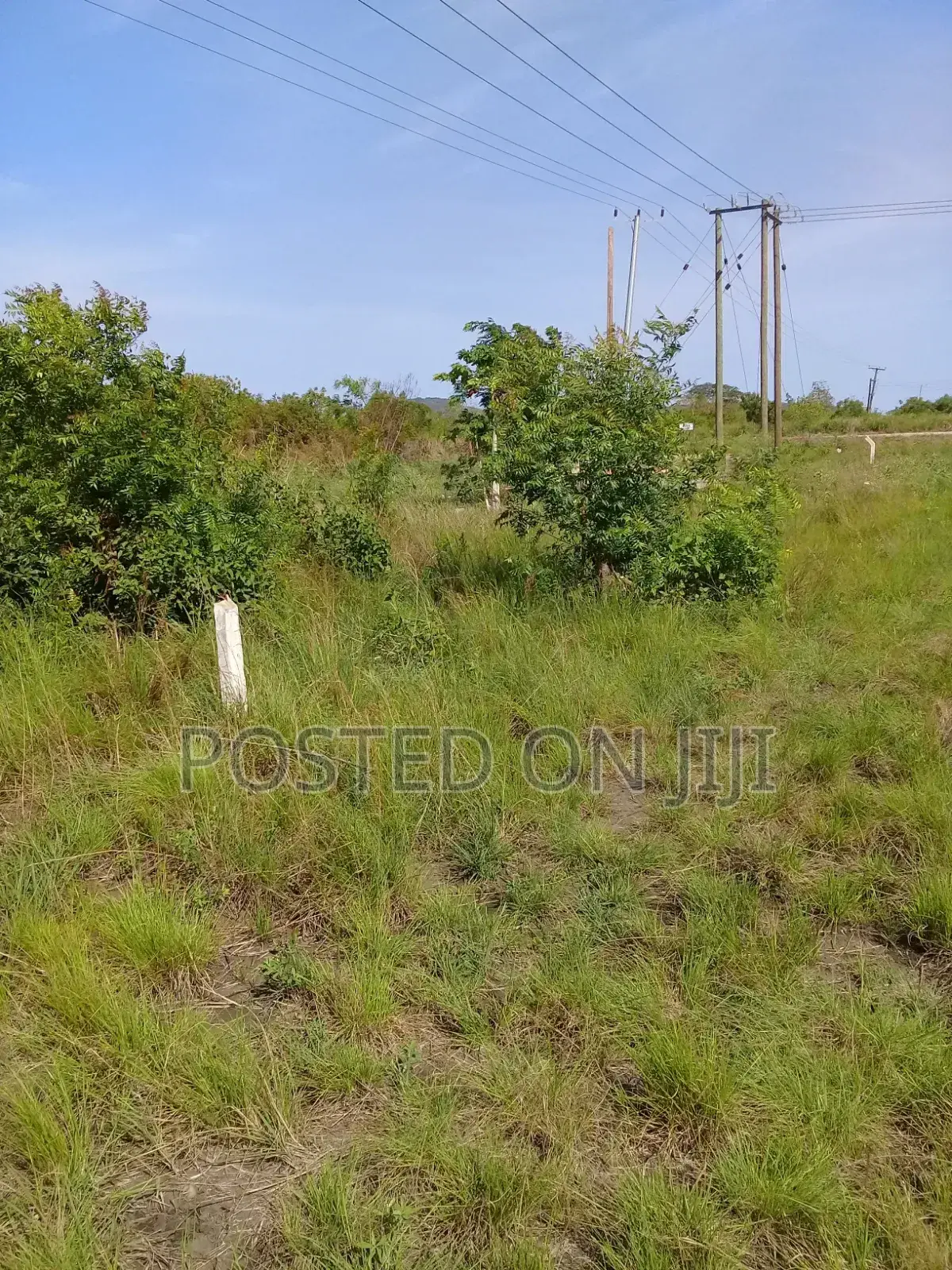 Land for Sale Gomoe East