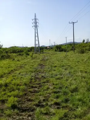 Land for Sale Gomoe East