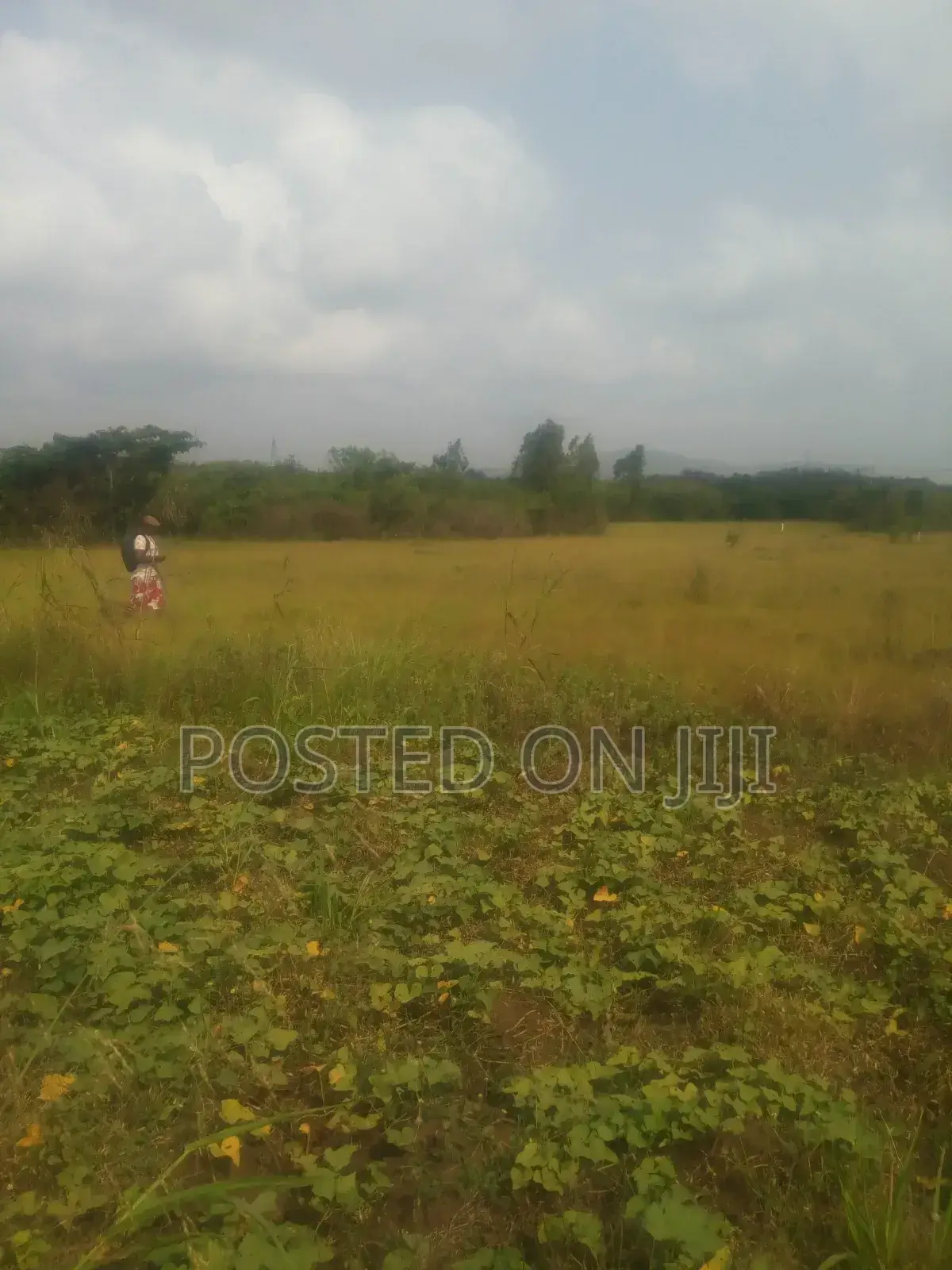 Land for Sale Gomoe East