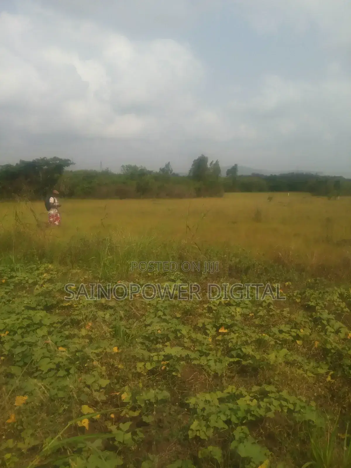 Land for Sale Gomoe East