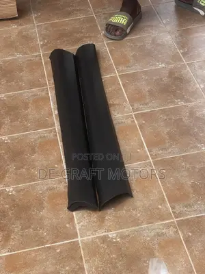 Nx 300 23 Front Door Molding Pair