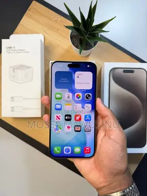 Apple iPhone 15 Pro Max 256 GB Gray