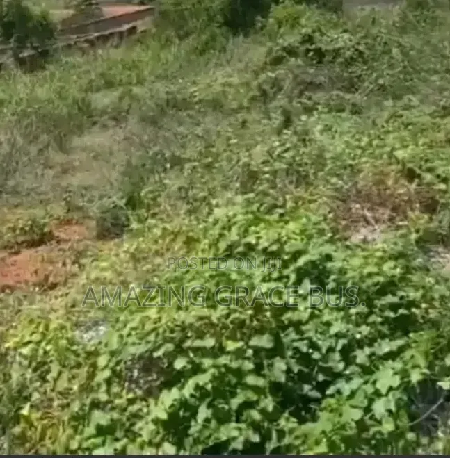 Six Plots Of Land For Sale(Ghs 45,000 Per Plot)
