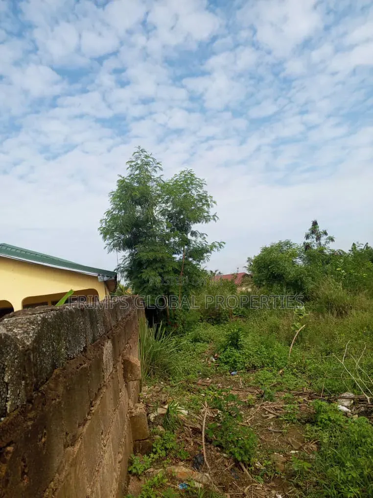 2 Plots of Land at Ablekuma Odumase for Sale