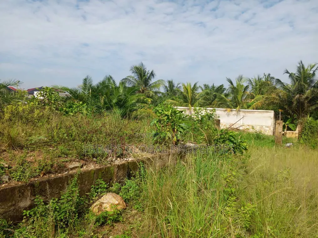 2 Plots of Land at Ablekuma Odumase for Sale
