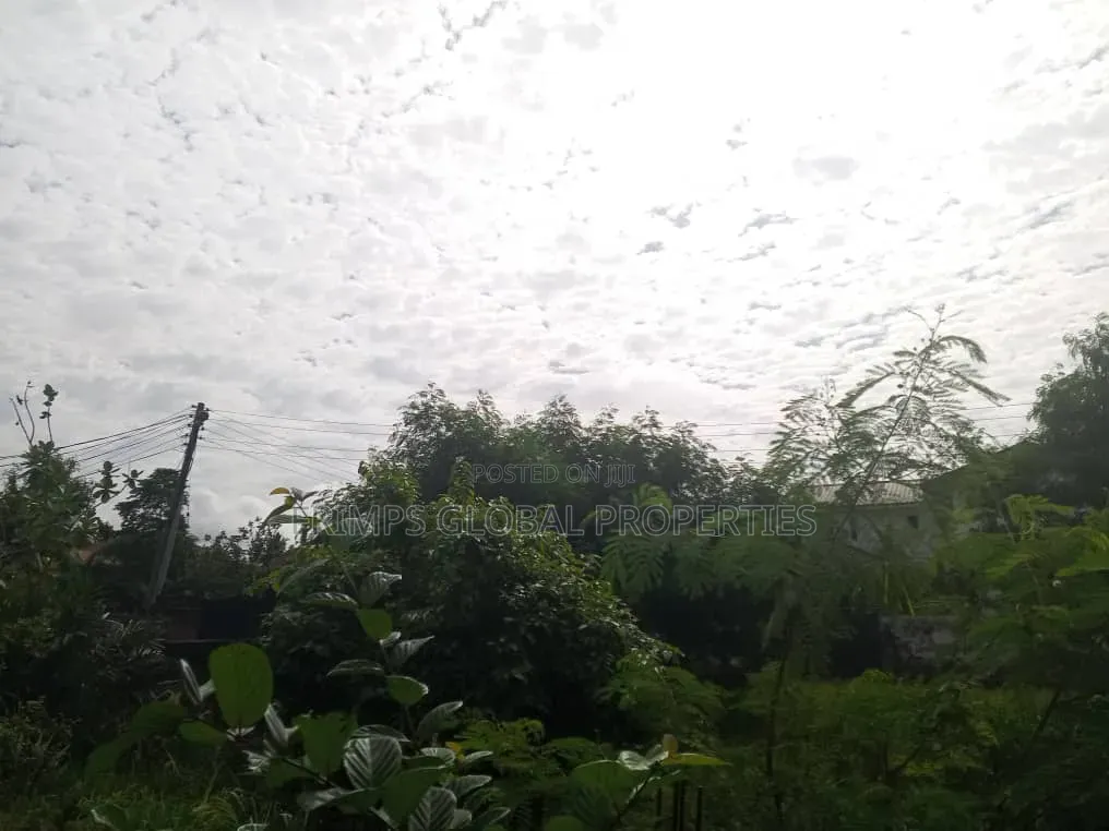 2 Plots of Land at Ablekuma Odumase for Sale