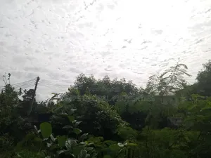 2 Plots of Land at Ablekuma Odumase for Sale