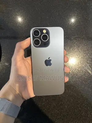 Apple iPhone 15 Pro Max 256 GB Gray