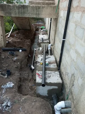 Plumbing and Bio Digester Expert Fish Farming Engineer