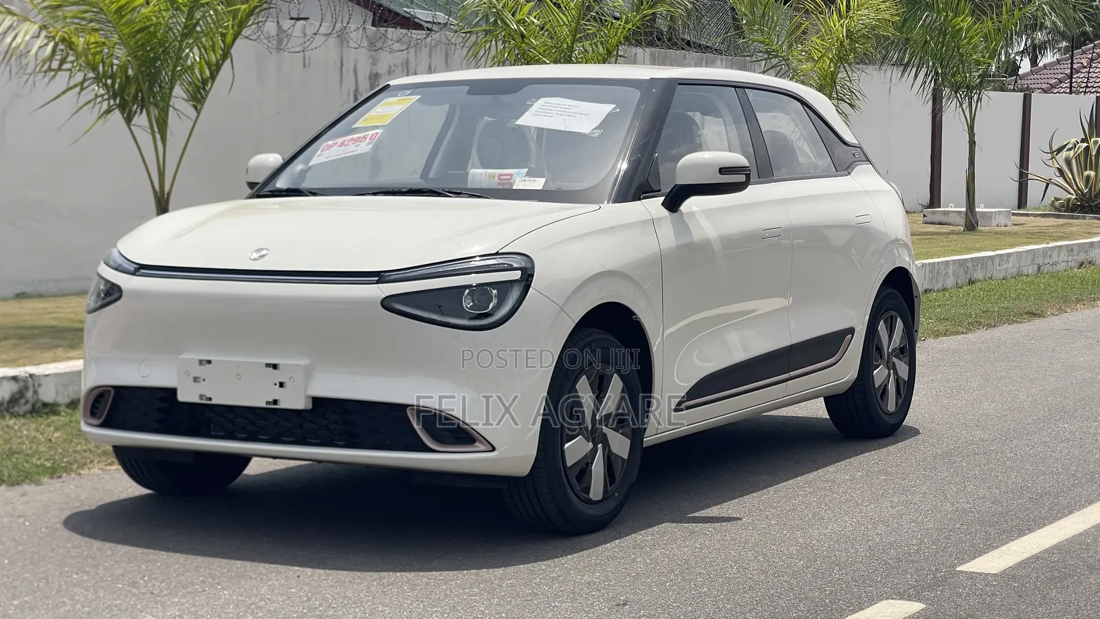 New Dongfeng Nammi 01 2025 White
