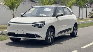 New Dongfeng Nammi 01 2025 White
