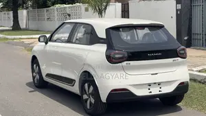 New Dongfeng Nammi 01 2025 White