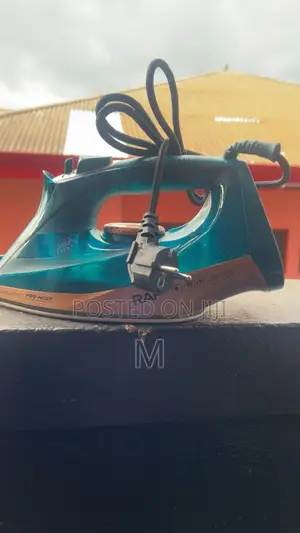 Electric Steam Iron