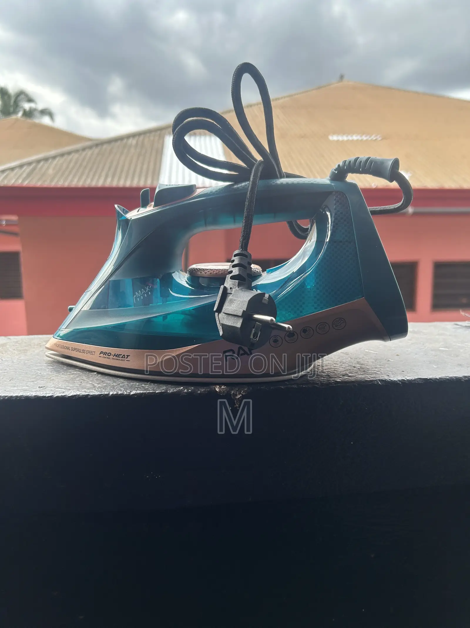 Electric Steam Iron