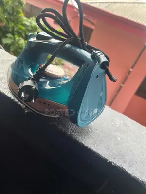 Electric Steam Iron