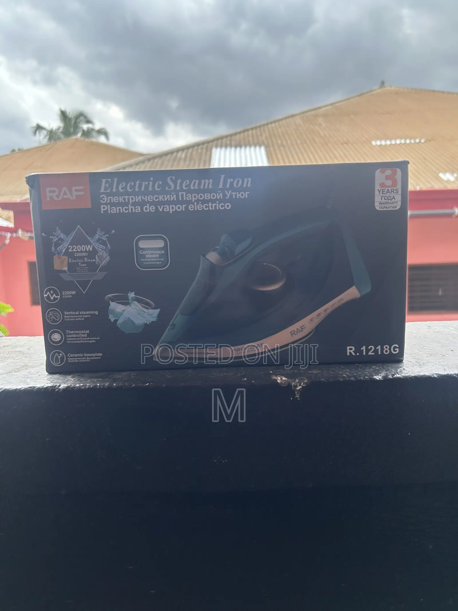 Electric Steam Iron