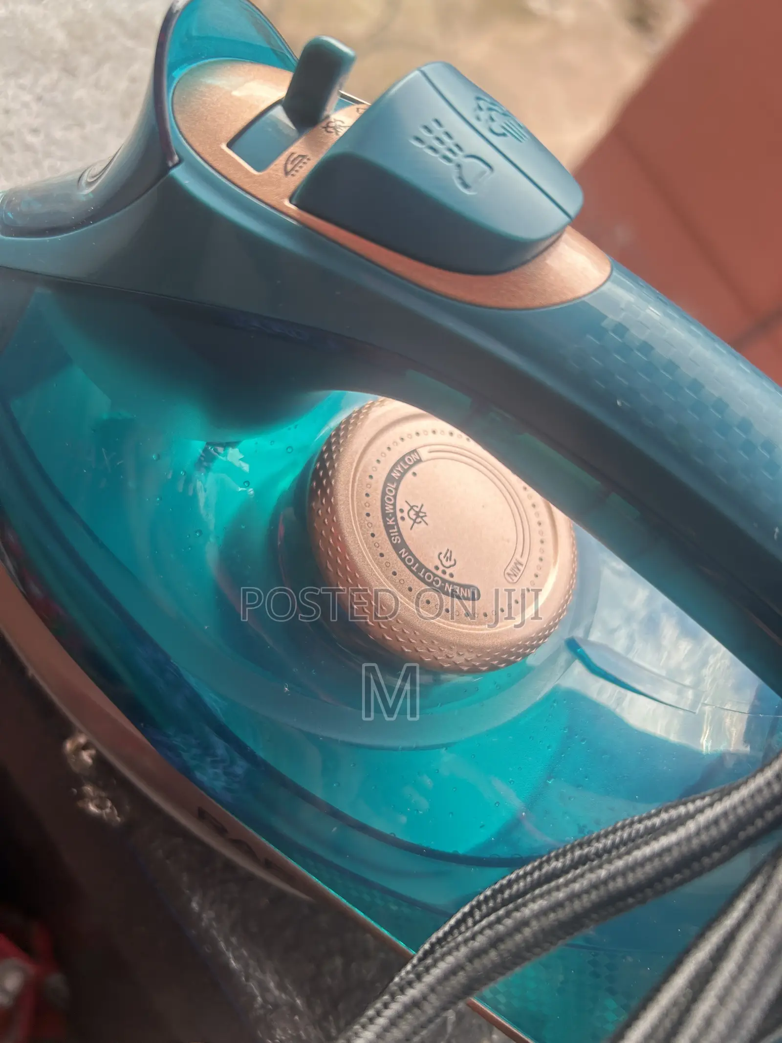 Electric Steam Iron