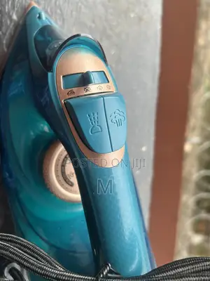 Electric Steam Iron