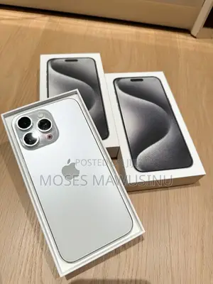 Apple iPhone 15 Pro Max 256 GB Gray