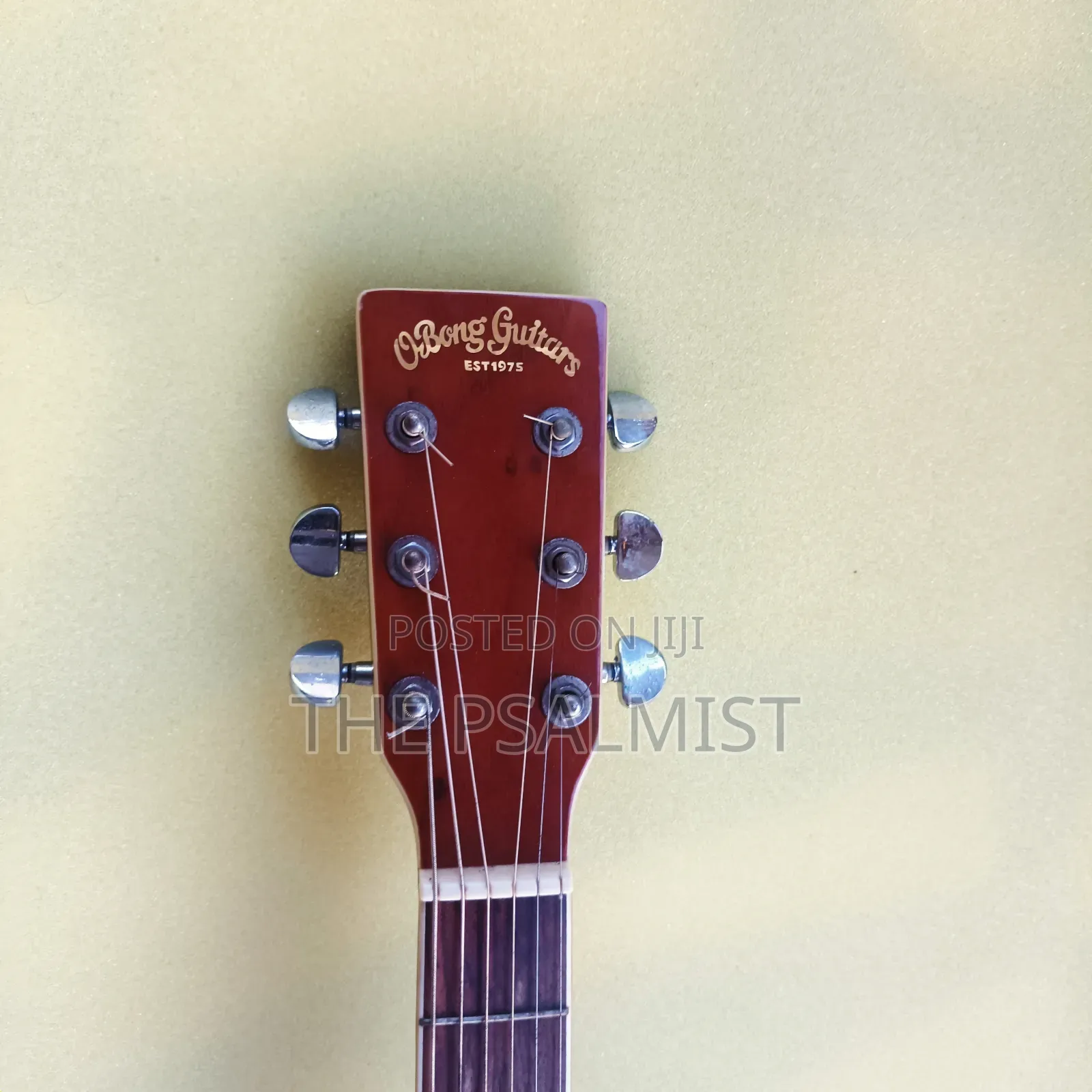 Obong Acoustic Guitars Est.1975