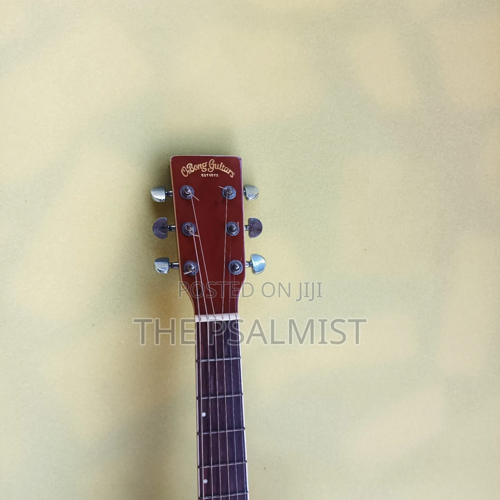 Obong Acoustic Guitars Est.1975