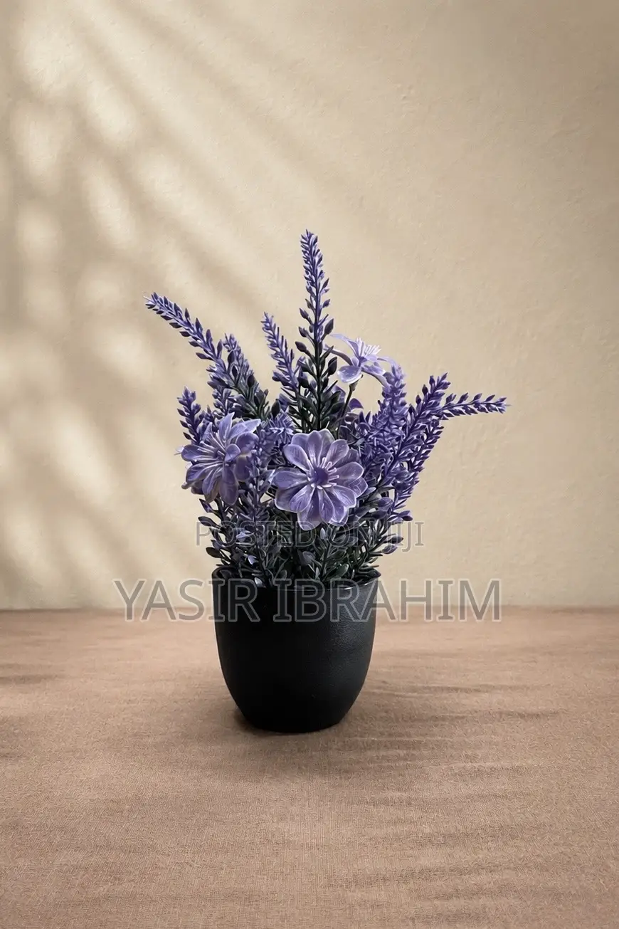 Indoor Mini Potted Flowers