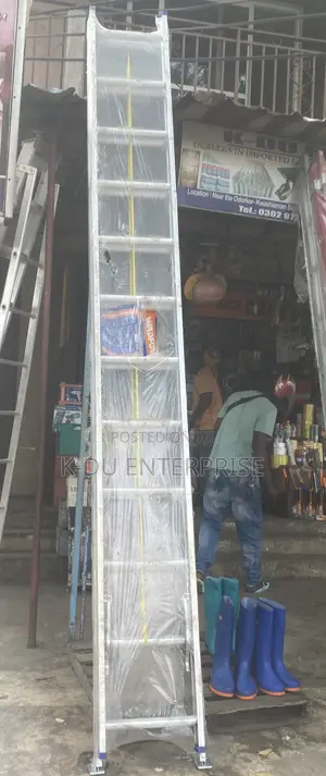 Wadfow Aluminum Ladder 2x12