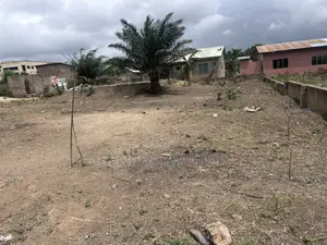 Half Plot Available at Alico City , Developed Town