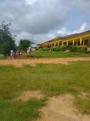 Half Plot of Land