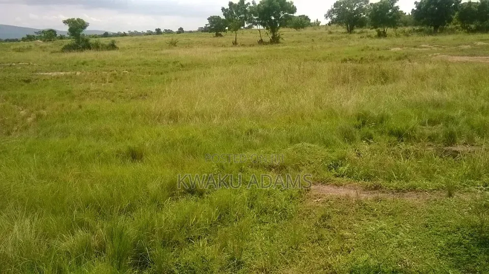 Two Acre Plot Registered Land for Sale