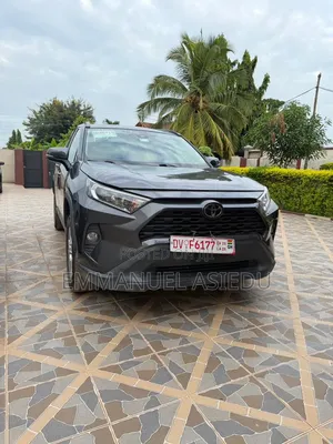 Toyota RAV4 XLE AWD 2019 Gray