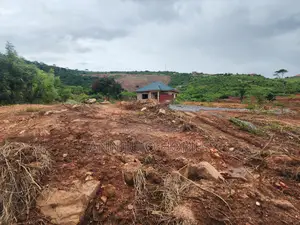 Titled Plots of Land at Oyibi