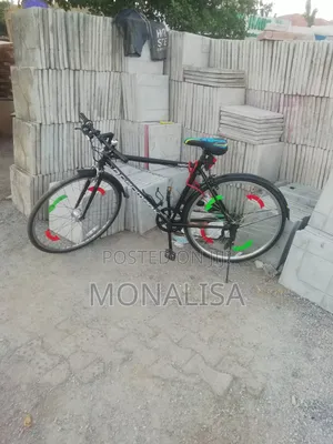 Bicycle 2024 Black