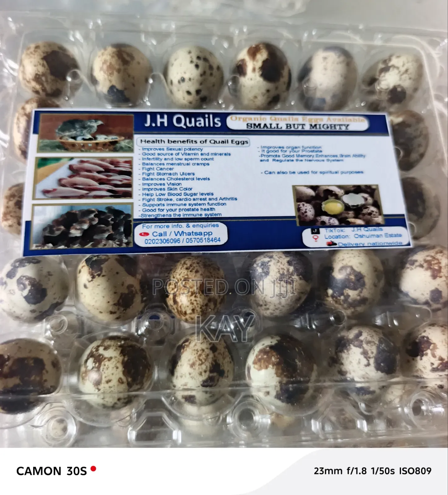 Qail Eggs(Fertile)