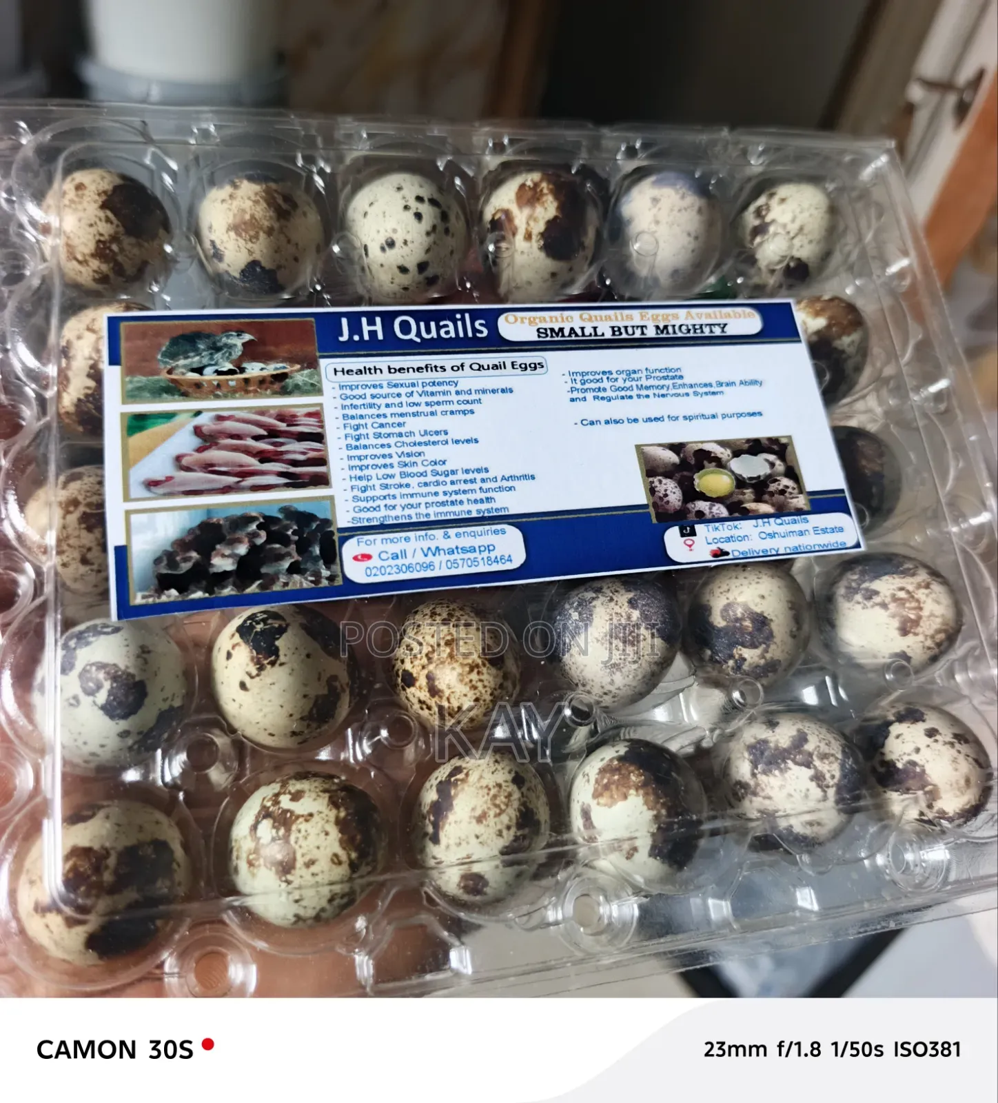Qail Eggs(Fertile)