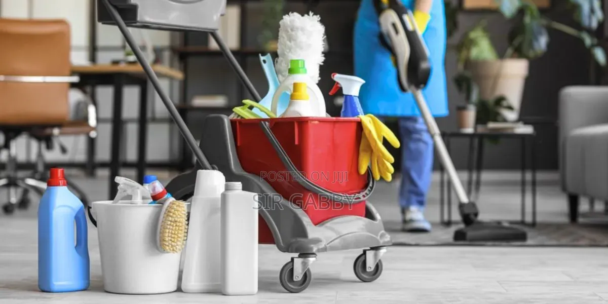 Sir Gabby's Errand and Cleaning Services