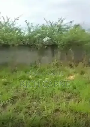 Two Plots of Land for Sale.Already Fenced