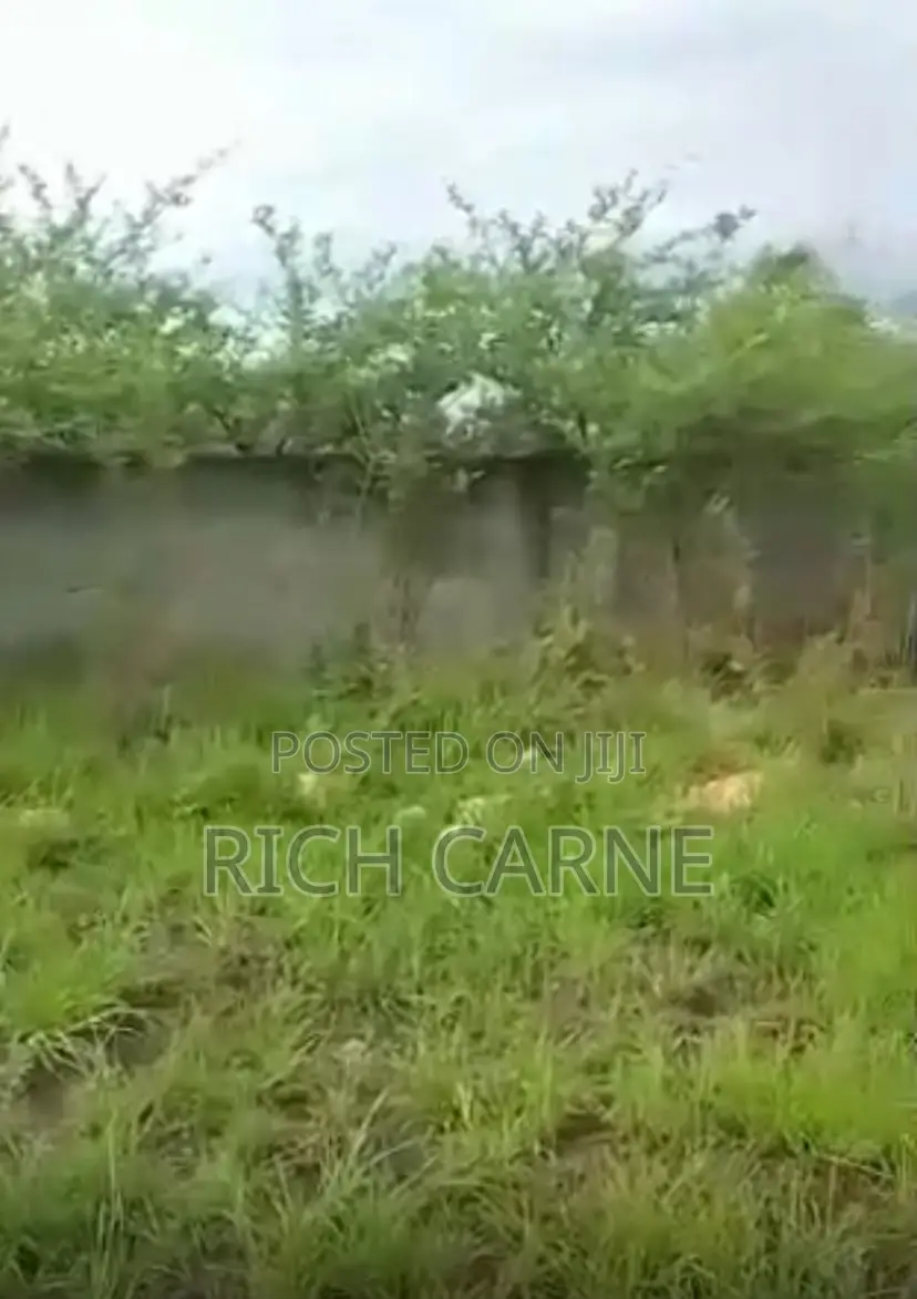 Two Plots of Land for Sale.Already Fenced