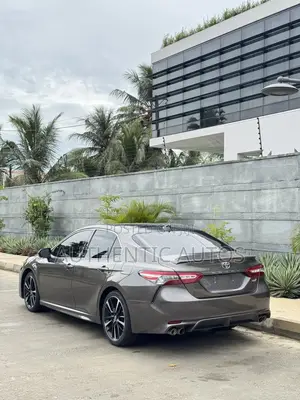 Toyota Camry XSE (2.5L 4cyl 8A) 2019 Gray
