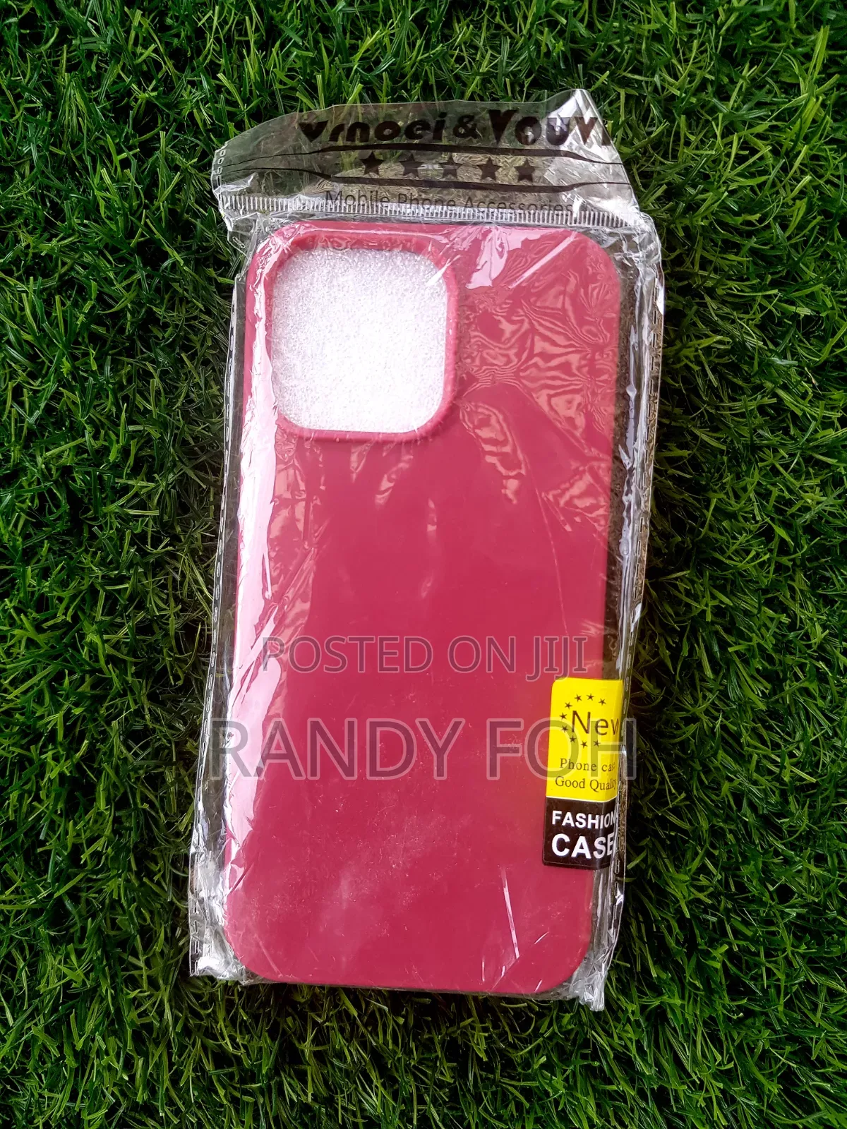 iPhone 16 Pro Max Cases.