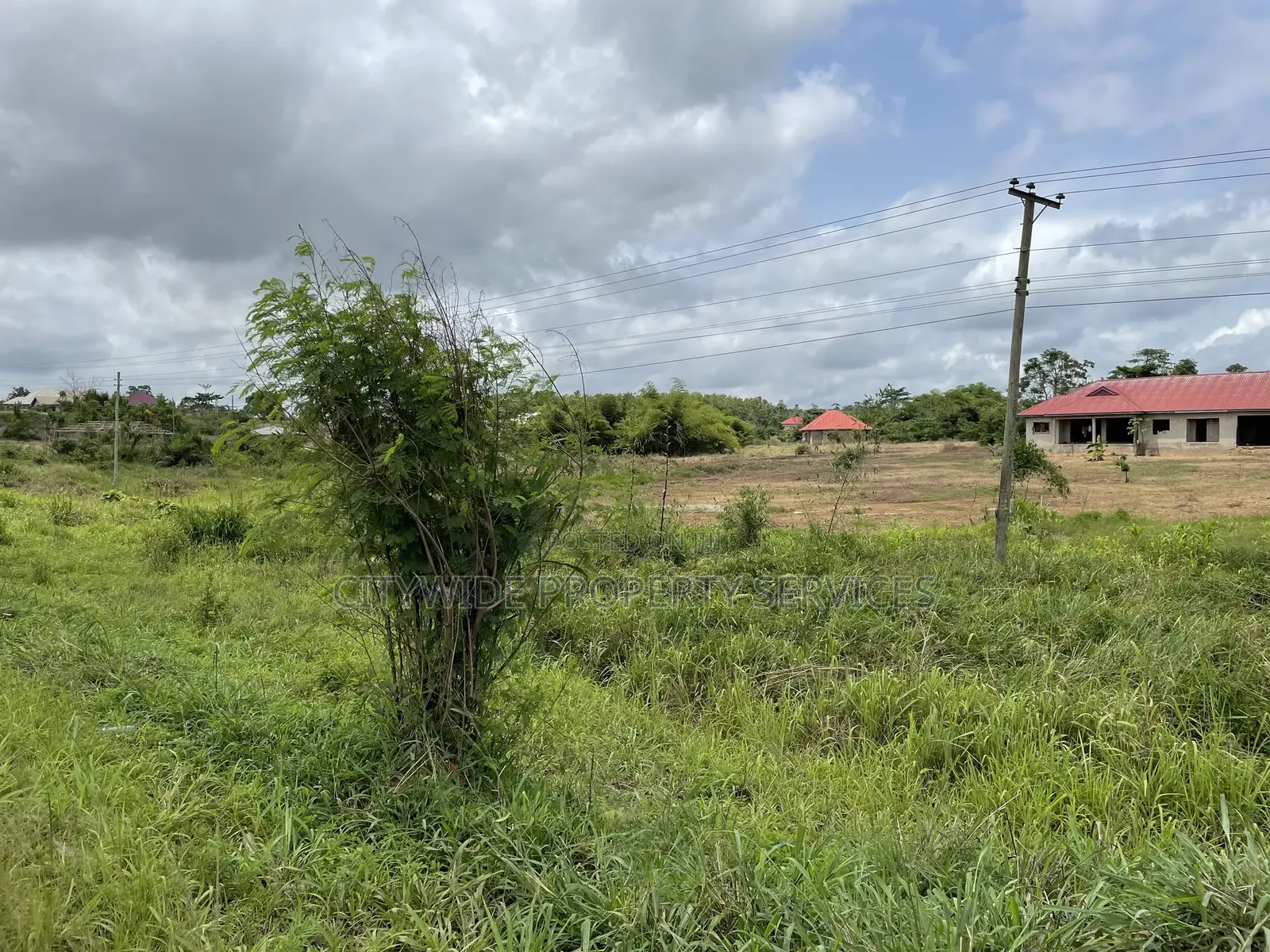 Roadside Plot for Sale